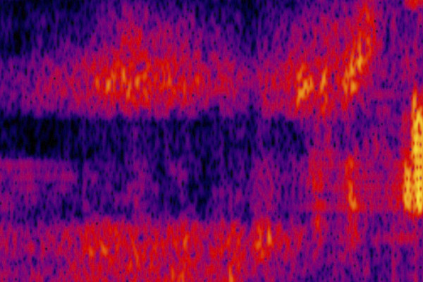 Sourcing, Relays of Disembodiment