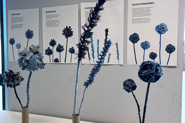 Denim Driven Design