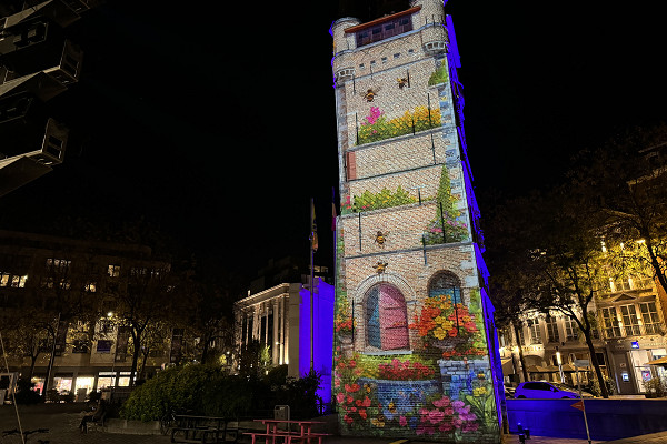 Projection Mapping